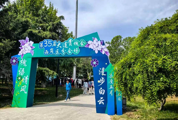 槐香启幕,盛景如约!第35届大连赏槐会西岗区分会场活动精彩启幕